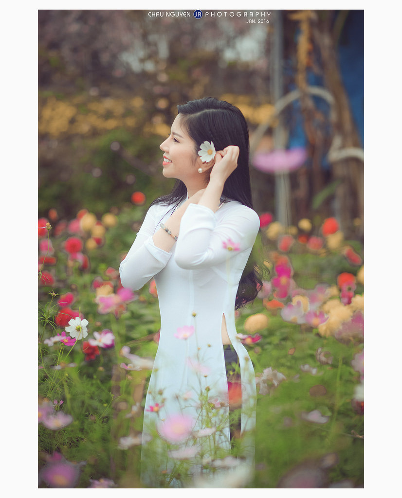 青云志3免费观看电视剧全集高清